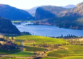 B.C. Wines