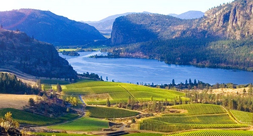 B.C. Wines