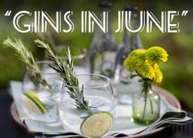 Tasting Notes - Gins in June