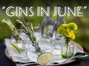 Tasting Notes - Gins in June