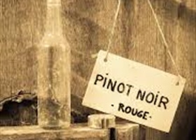 Around the World With Pinot Noir tasting Notes courtesy of Ken Bracke, Sommelier