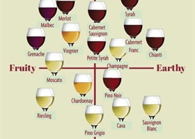 know your wines