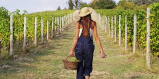 In Honour of Women In Wine  -  March 2021 Women's History Month