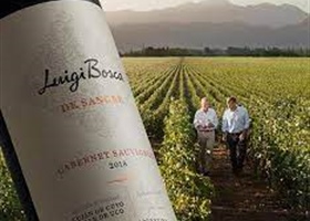 Wine Tasting Argentina's Luigi Bosca Wines   SOLD OUT