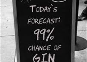 GINS IN JULY-  CANCELLED