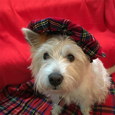 Georgie Girl